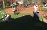 People working in a sunny yard, moving leaves near a large pile and a shadowed lawn.
