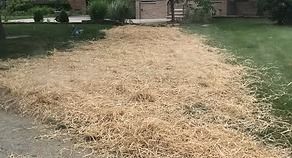 A tan straw-covered path beside a grassy area with trees in the background