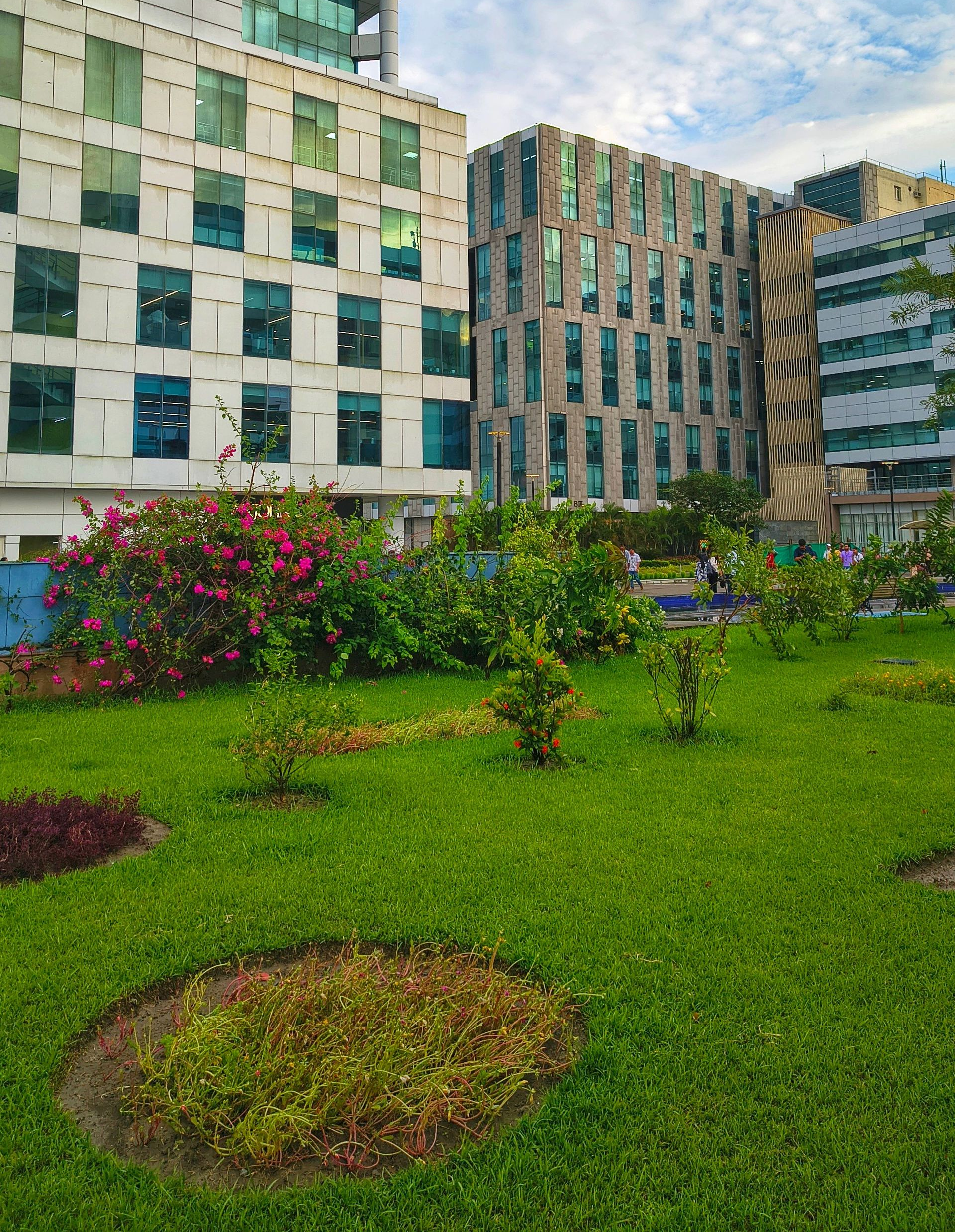 A landscaped garden bed with dark mulch, trees, and green grass beside a path