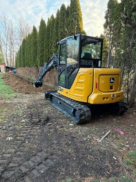 Yellow mini excavator on a muddy path beside tall evergreen hedges. Santini team in action