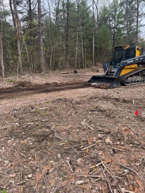 Yellow skid steer clearing a wooded dirt lot, with trees in the background and a small orange cone nearby