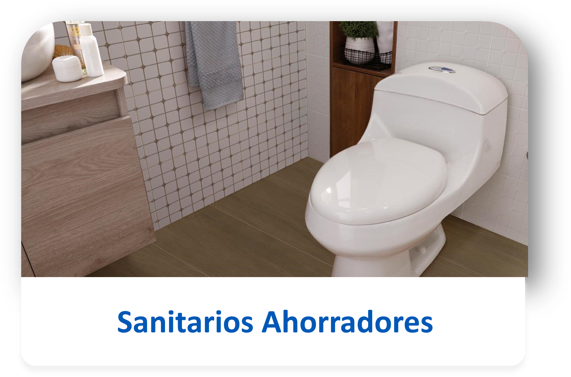 Sanitarios Ahorradores