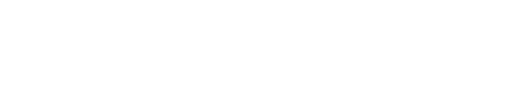 Solve IT Simply's logo in white