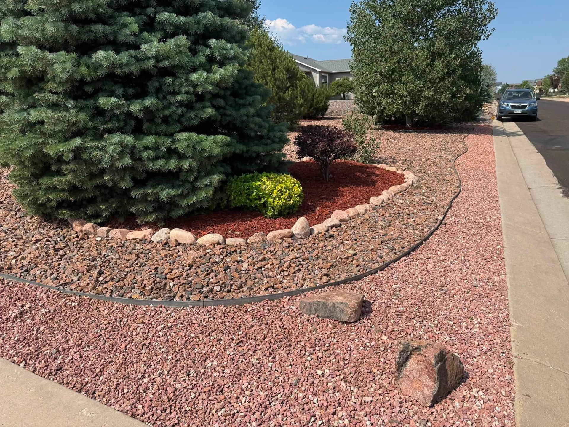 Landscaped front yard with desert rocks, shrubs, and a large evergreen near a driveway