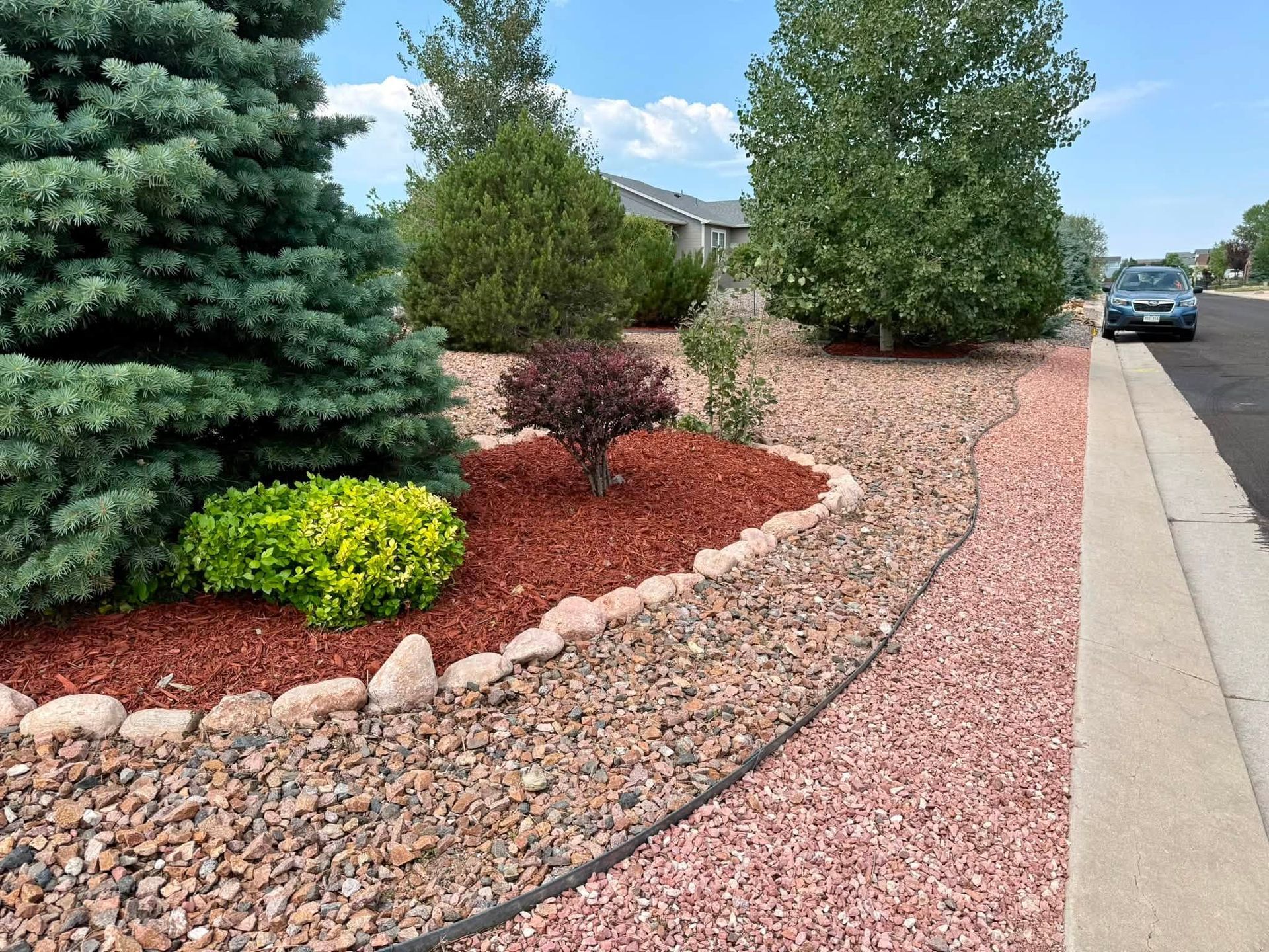 Landscaped front yard with colorful shrubs, rock border, and sidewalk beside a street