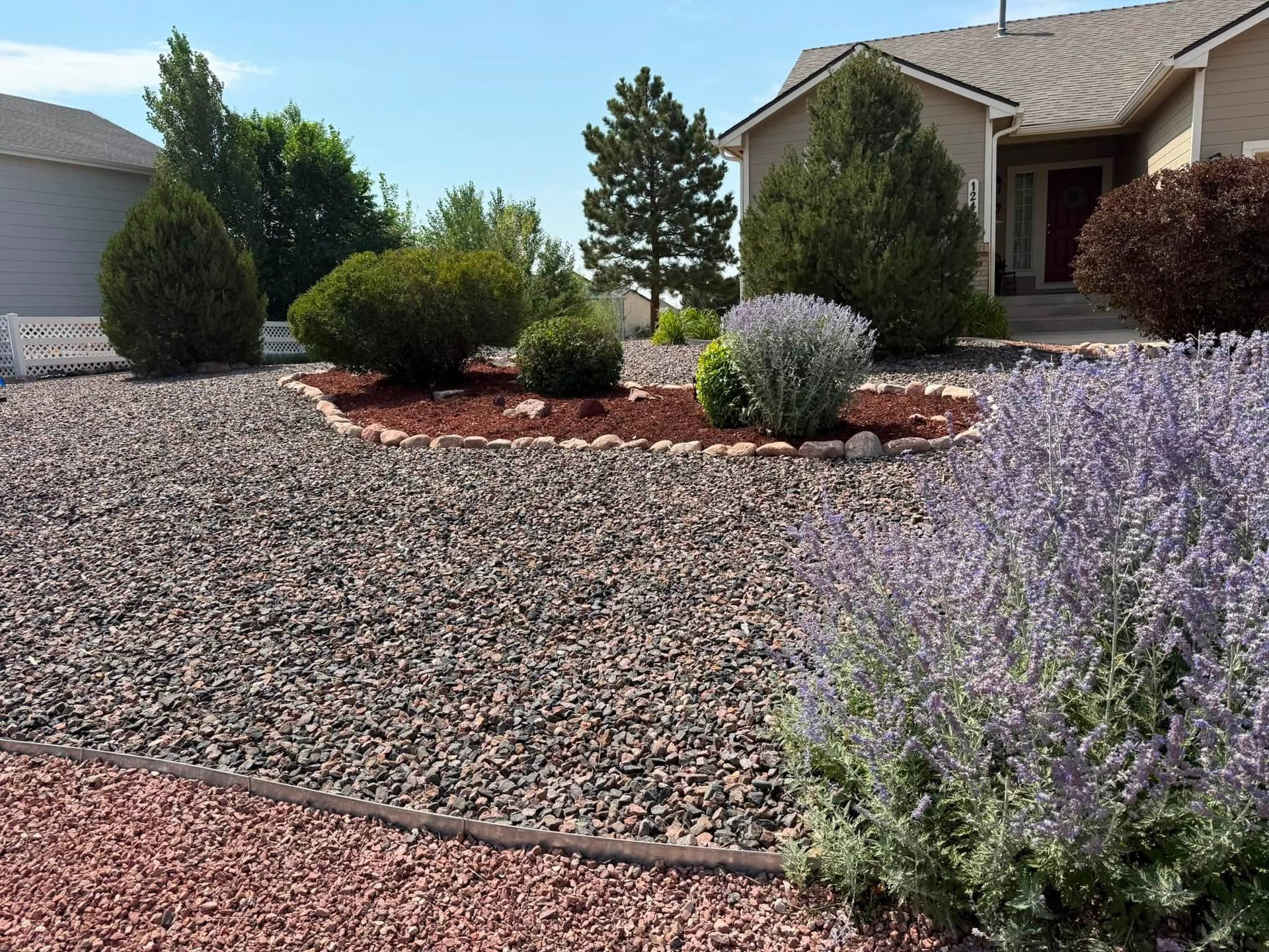 Desert-style front yard with gravel landscaping, shrubs, and a house in the background