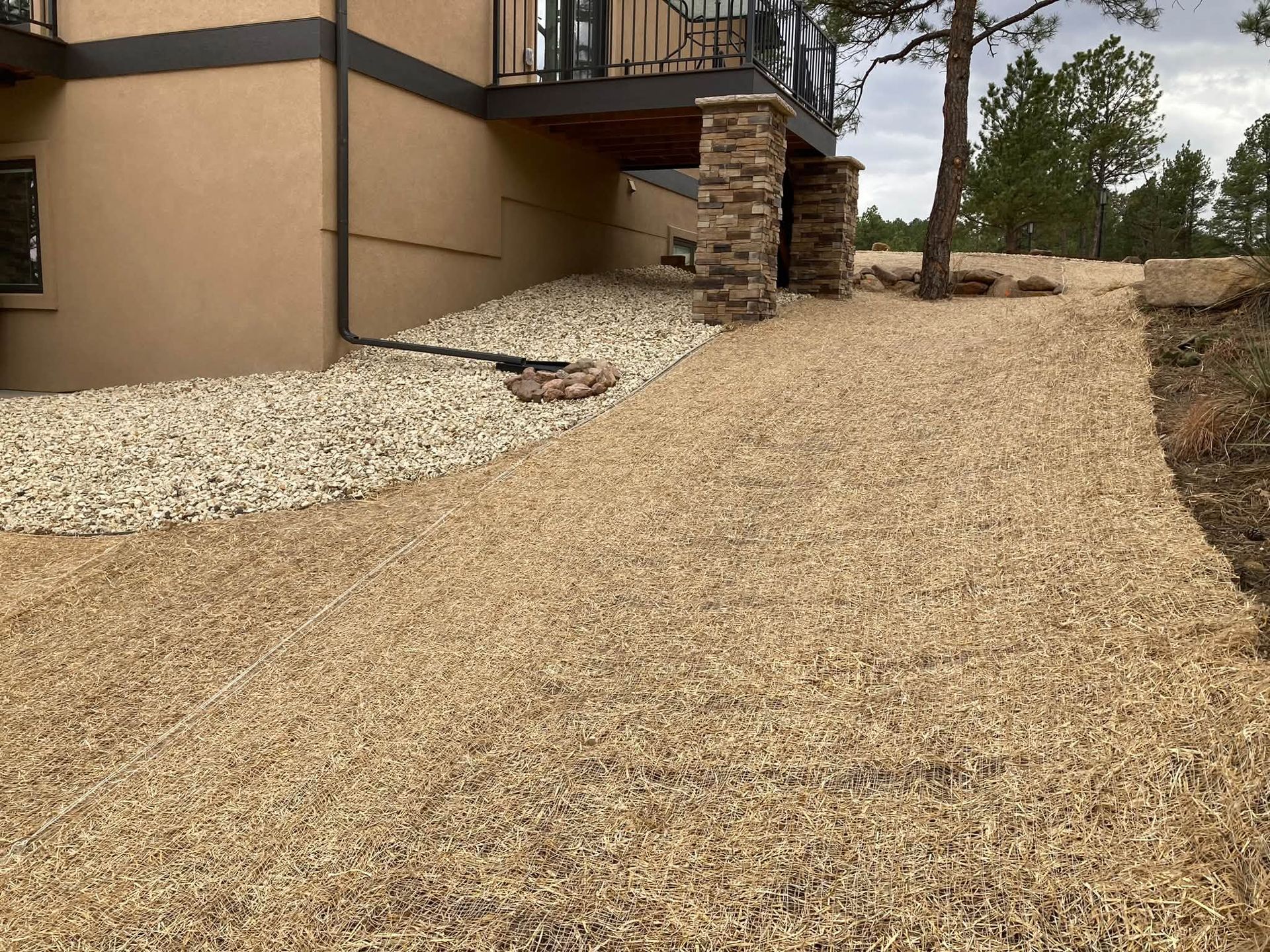 Gravel path beside a house with a stone staircase and landscaped yard bordered by trees.