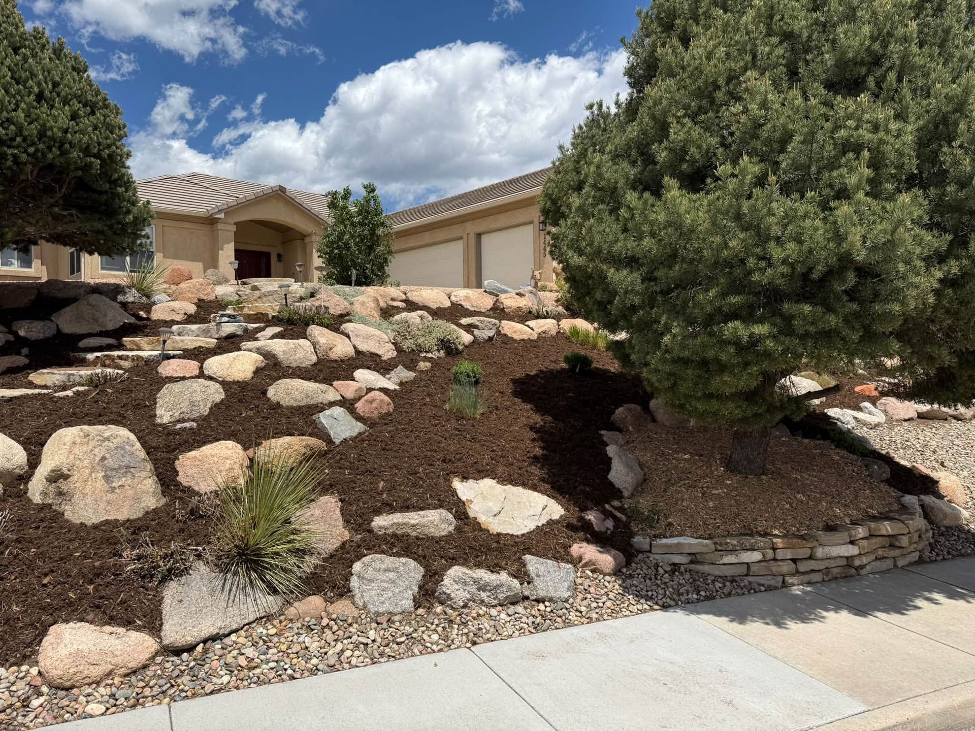 Desert home front yard with rock landscaping, shrubs, and a large tree by a driveway