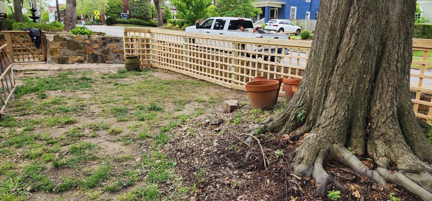 There is a large tree in the middle of the yard.
