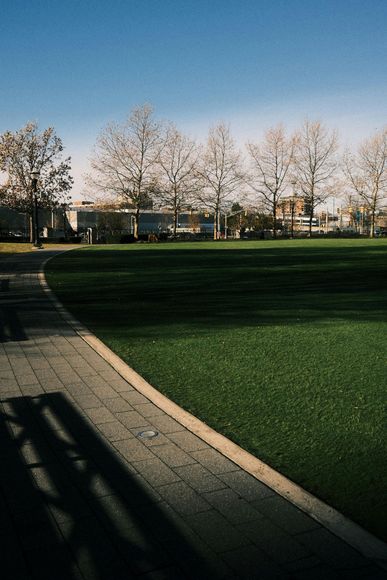 Curved path beside a grassy field with bare trees under a clear blue sky, in late afternoon light