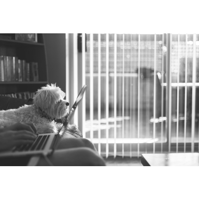 allstarblinds