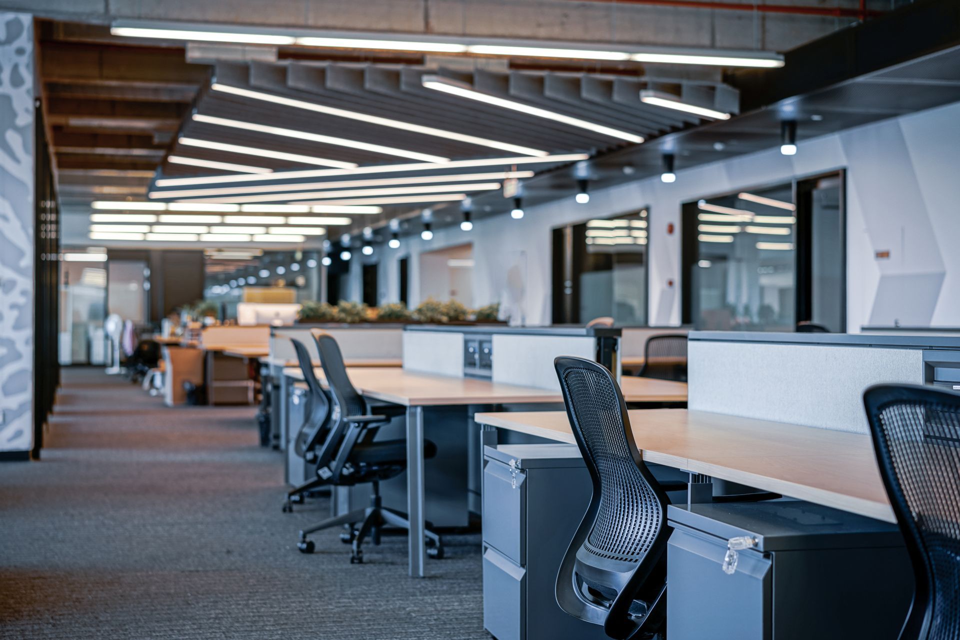 Office workspace with rows of desks, chairs, and overhead lighting.