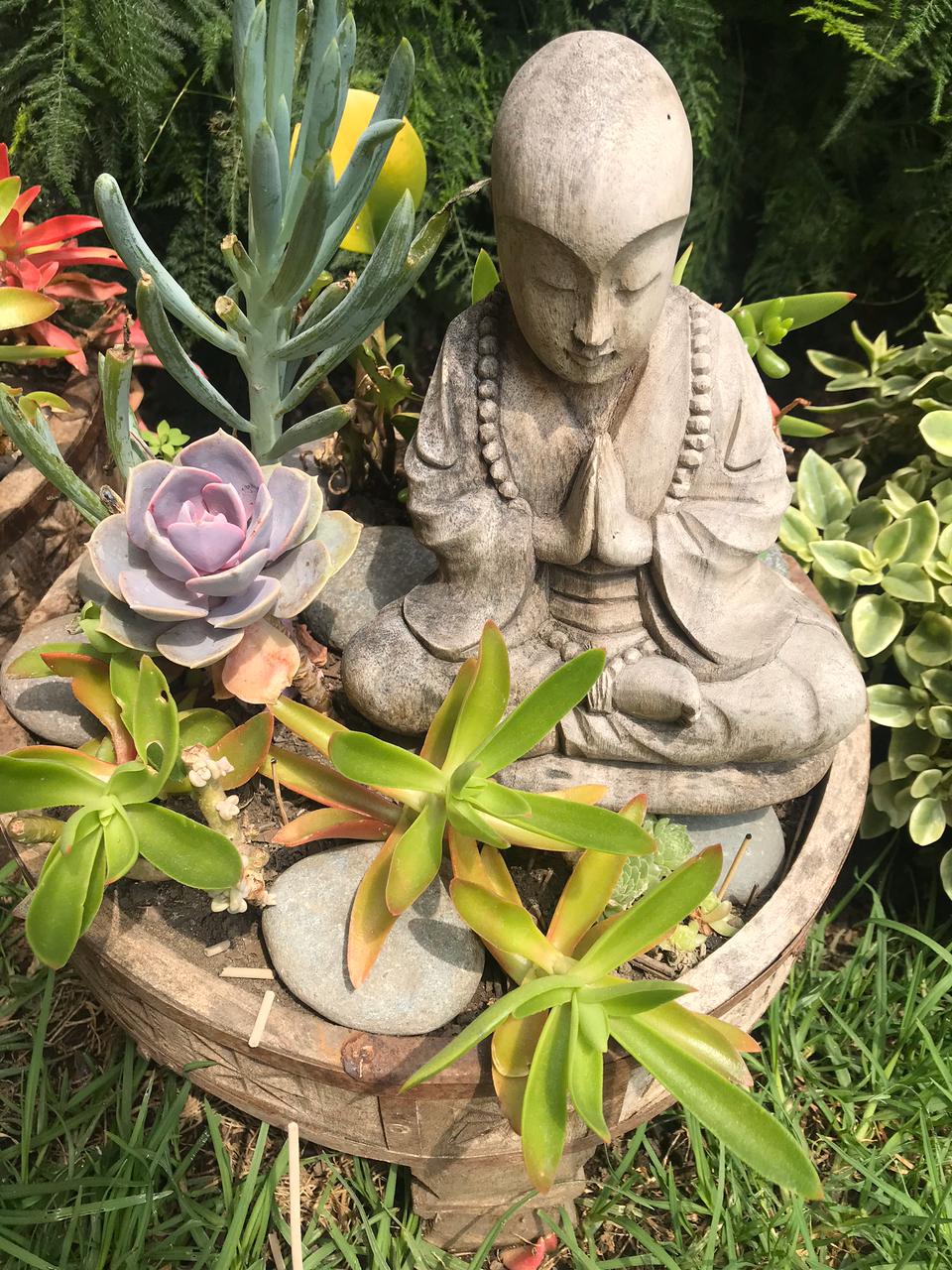 Estatua de Buda rodeada de suculentas en una maceta de madera.