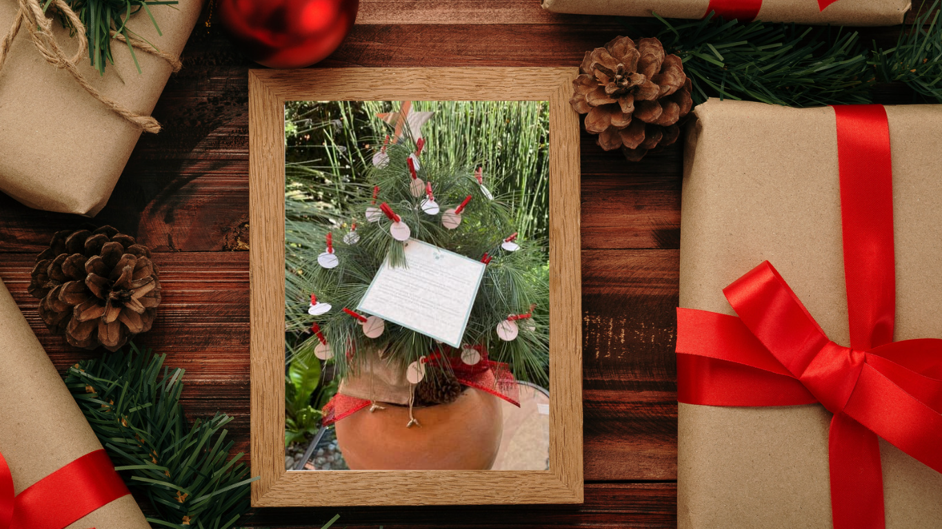 Escenario navideño: árbol enmarcado con tarjeta en blanco, regalos, piñas y cintas rojas.