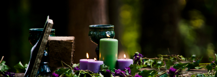 Velas, vegetación y un libro sobre una mesa de madera en un entorno forestal.