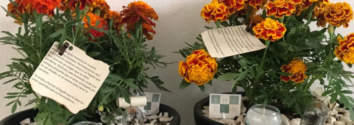 Dos macetas con flores de caléndula anaranjadas con notas adjuntas; pequeñas piedras y un objeto de vidrio transparente descansan en las macetas.