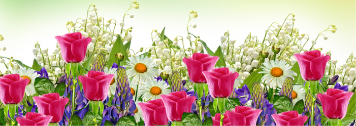 Un arreglo floral vibrante con rosas rojas, margaritas blancas y otras flores coloridas.