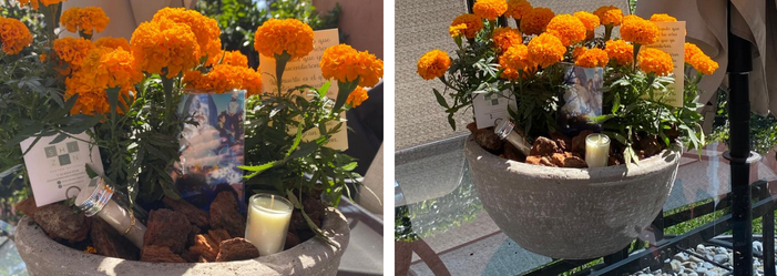 Flores de caléndula naranja en una maceta gris con velas y rocas, en un porche soleado.