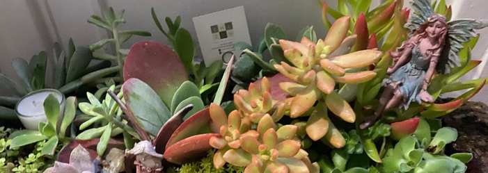 Un terrario con suculentas coloridas y una figura de hada.