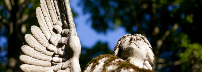 Una estatua de ángel desgastada con un ala extendida contra un fondo de cielo azul y follaje verde.