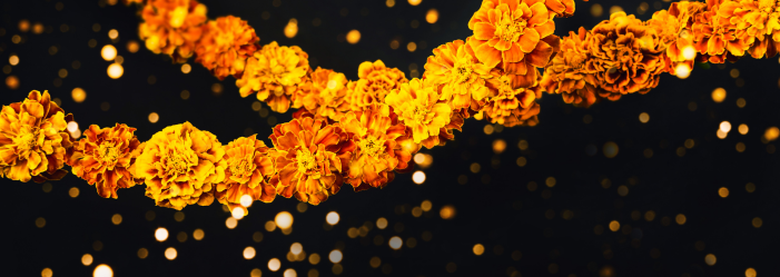 Guirnalda de flores de caléndula naranja sobre un fondo oscuro con luces bokeh.