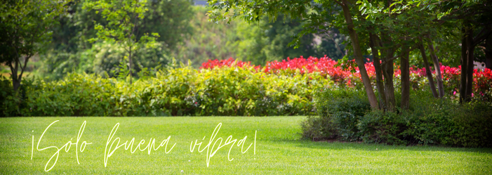 Un parque soleado con césped verde, árboles y flores de colores. Texto: 
