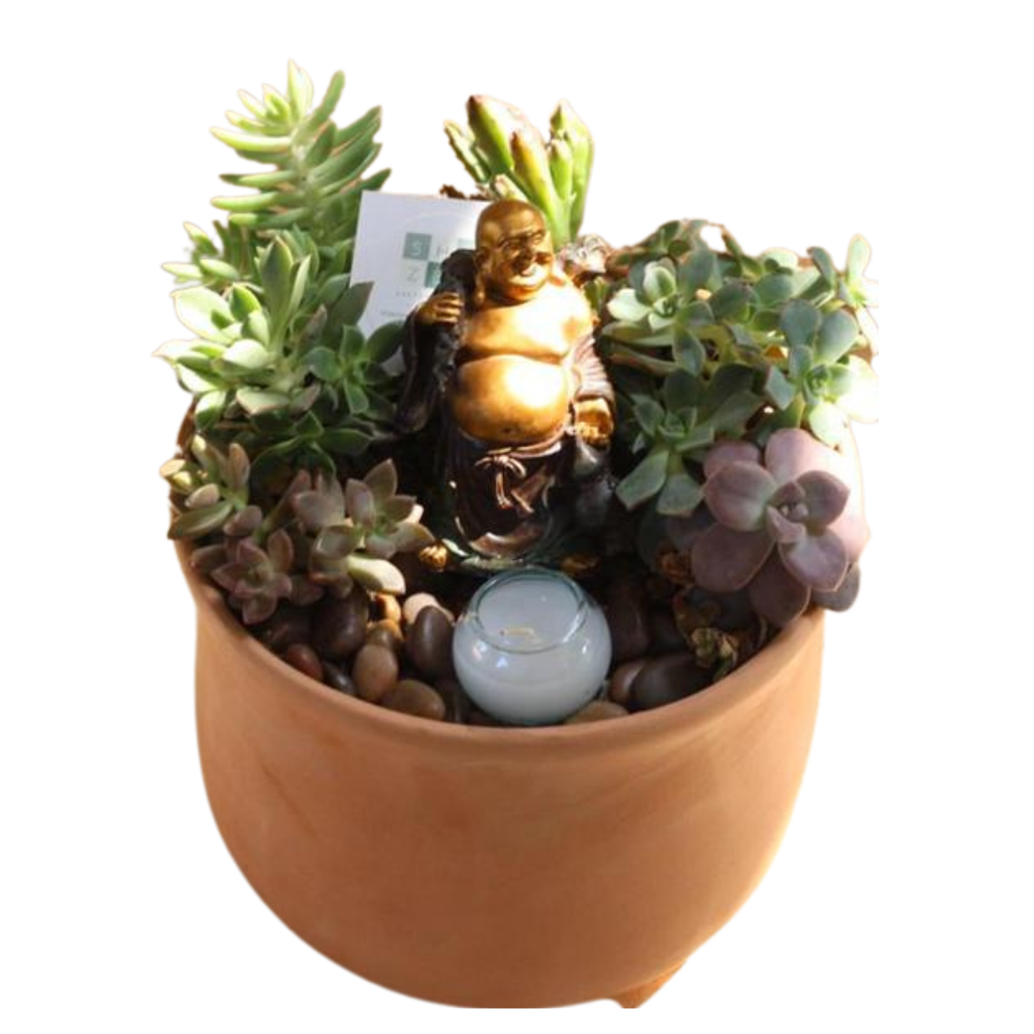 Maceta de terracota con suculentas, una estatua de Buda dorada y un orbe de vidrio blanco.