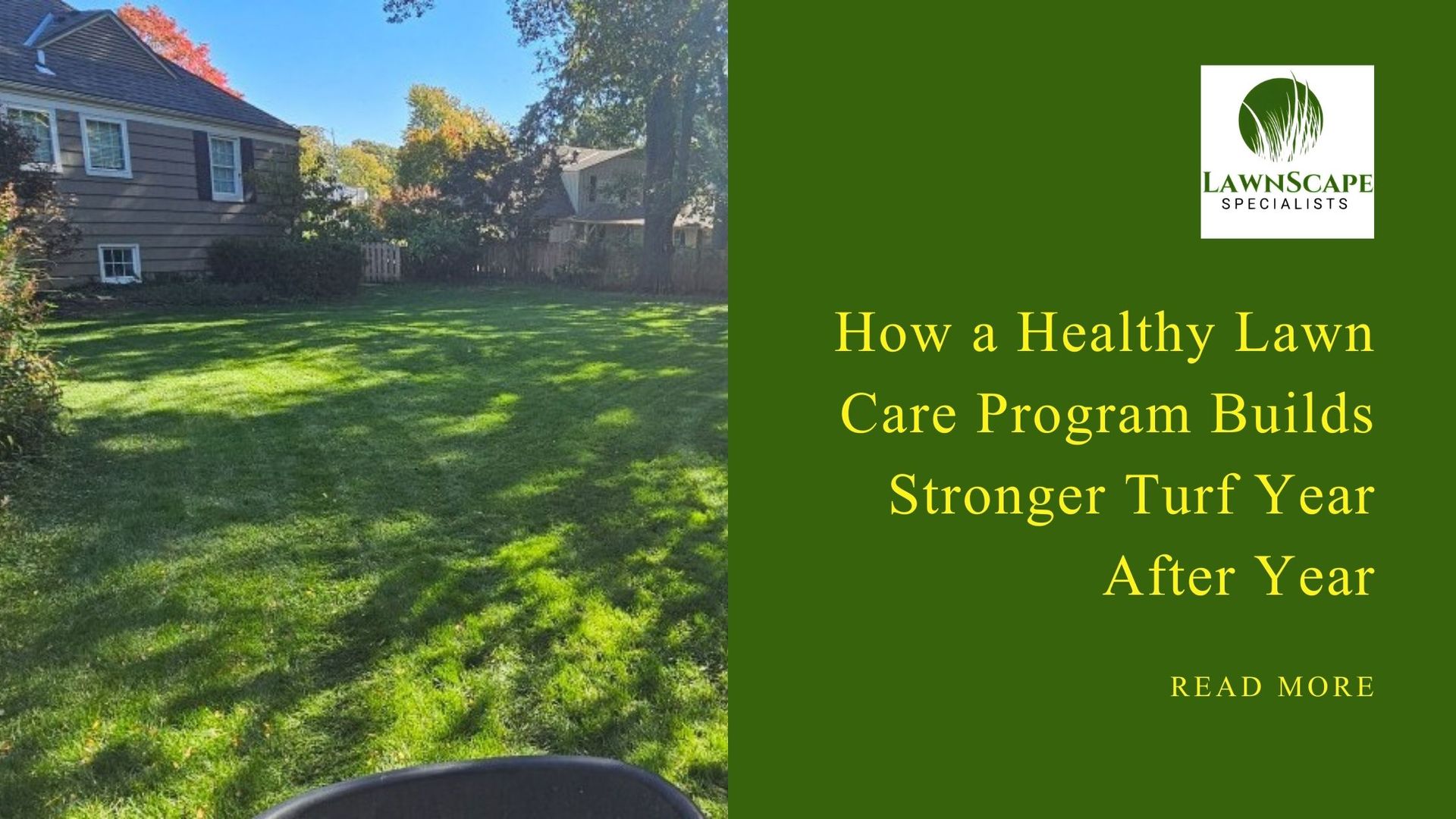 How a Healthy Lawn Care Program Builds Stronger Turf Year After Year