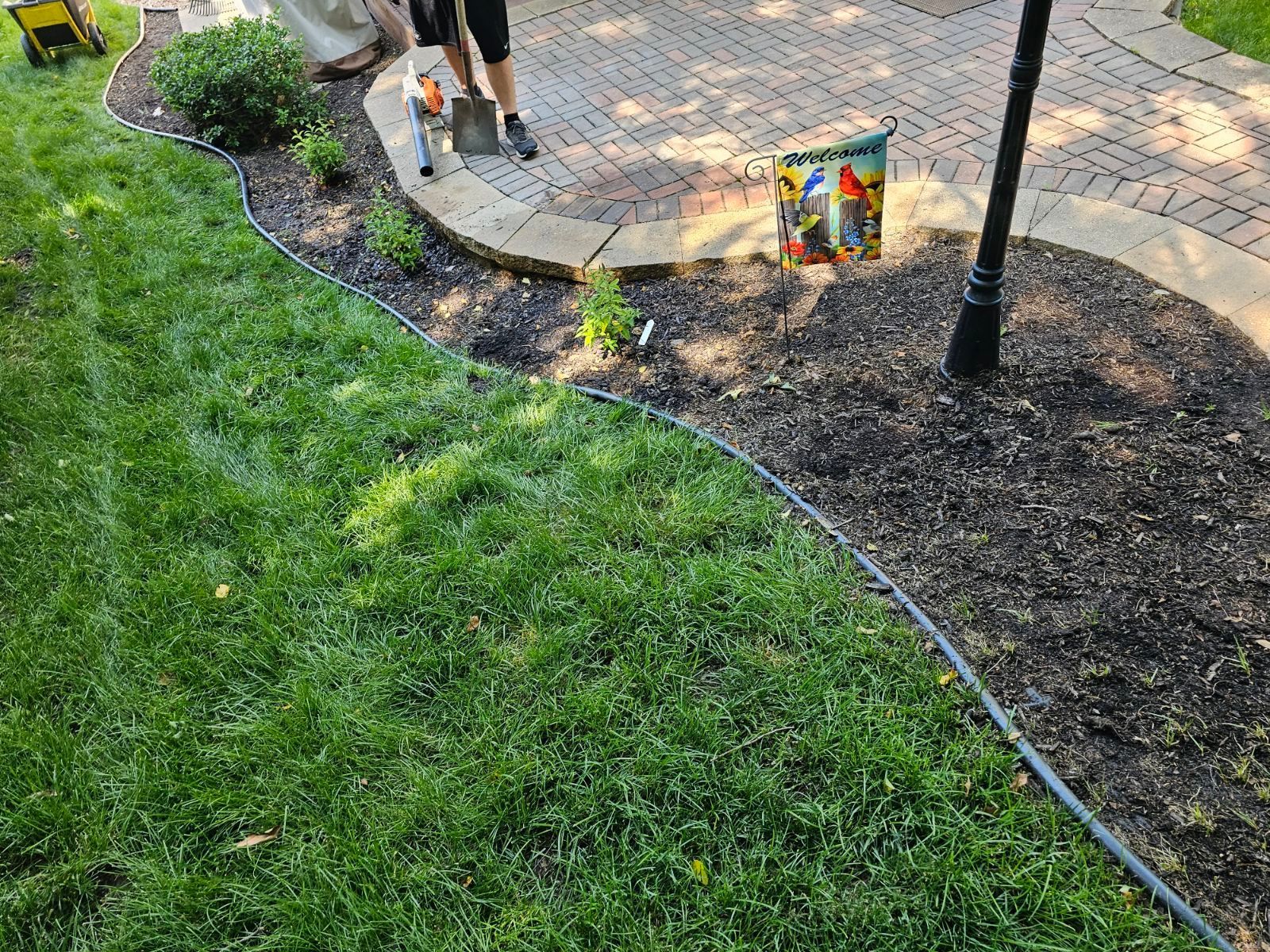 Vibrant lawn with stone accents and newly refreshed landscape design