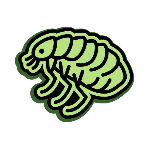 Flea & Tick Control | Pest Control Services