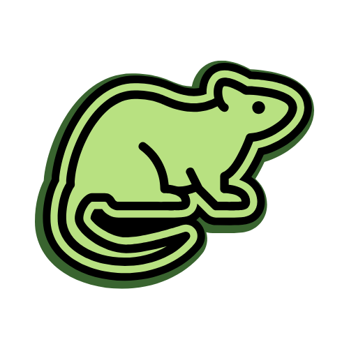 Rodent Control | Pest Control Services