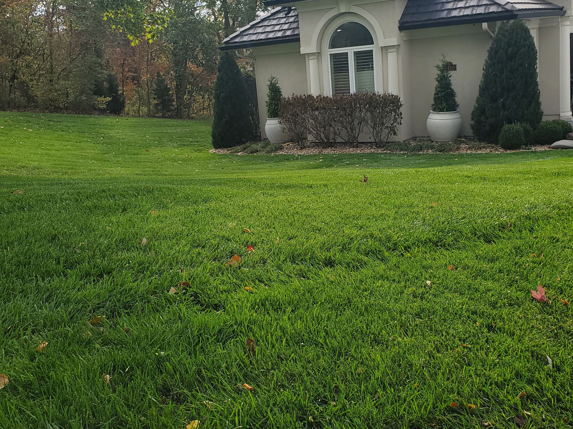 Lawn Pest Maintenance Kansas City MO by Lawnscape Specialists