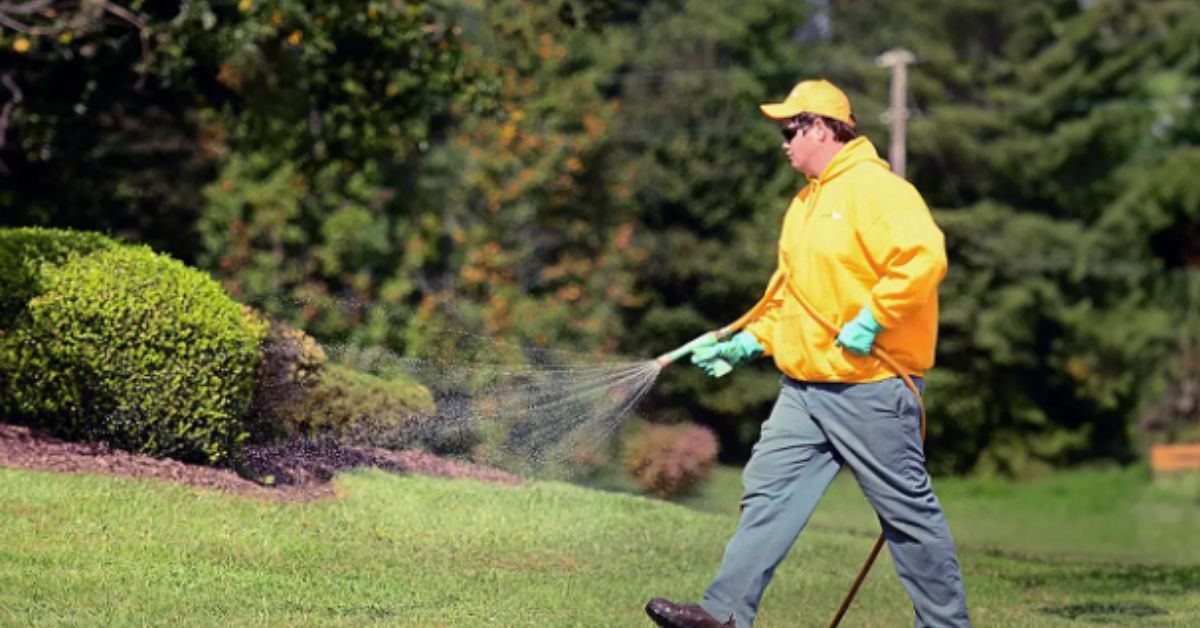 Residential Weed Control Liberty MO by Lawnscape Specialists lawn care