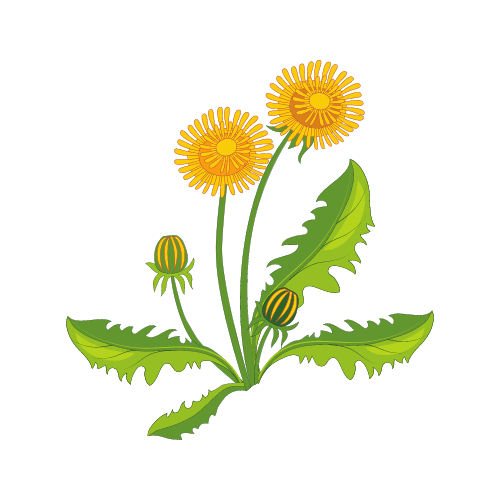 Weed Control