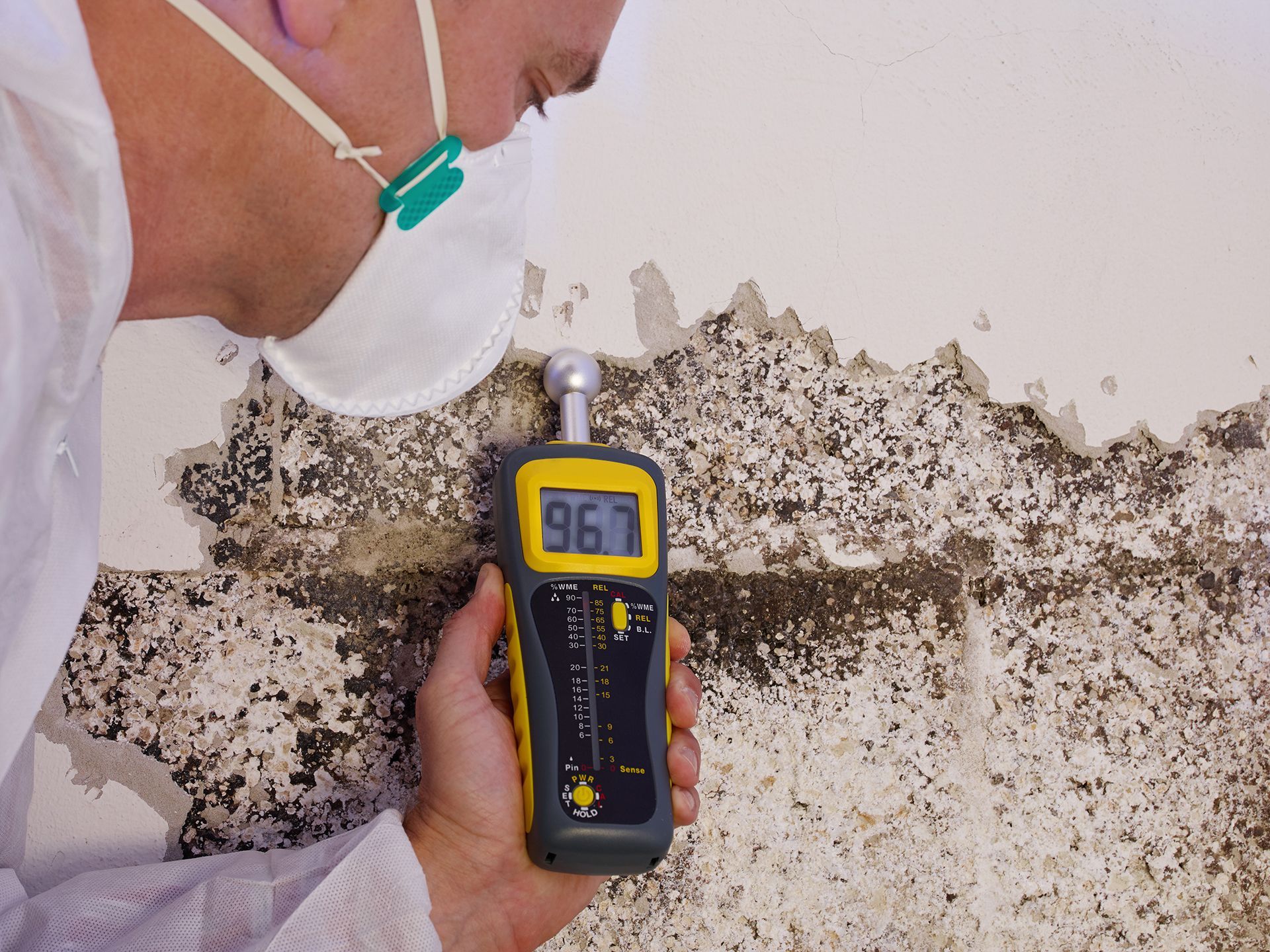Mold Specialist in Checking Mold on Wall