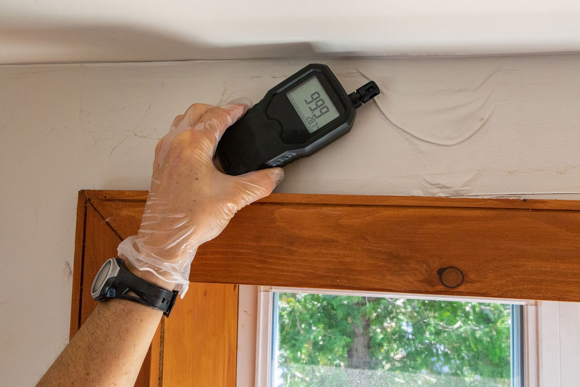 Checking Mold With Digital Device