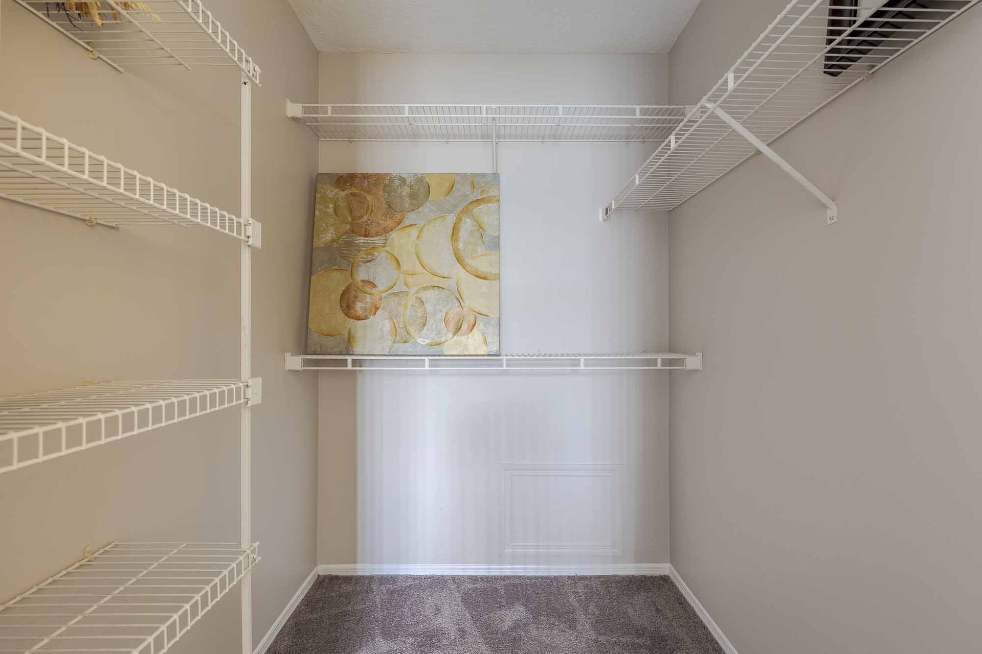 Empty walk-in closet with wire shelving and a painting. White walls and carpeted floor. Visit Savannahs at James Landing and see why our Melbourne, FL apartments feel like home.