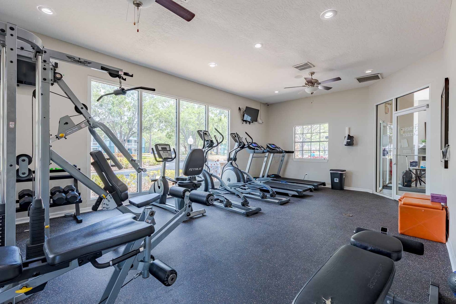 Gym with exercise machines and weights by a window. Find your next home among our inviting Pet-friendly aparmtents in Melbourne, FL—schedule a tour today.