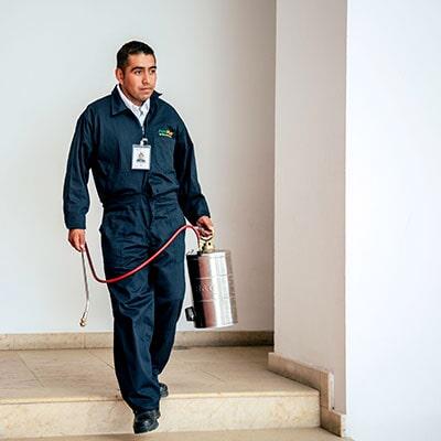 FUMIPLUS - Fumigación a gas