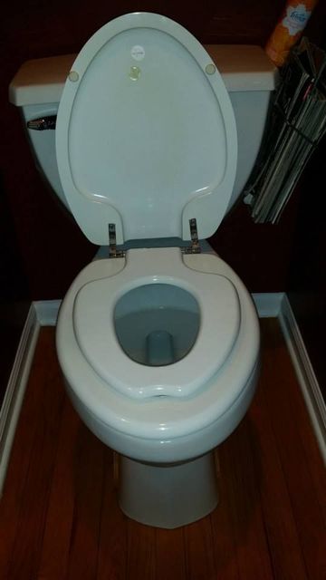 A white toilet with the lid up is sitting on a wooden floor.