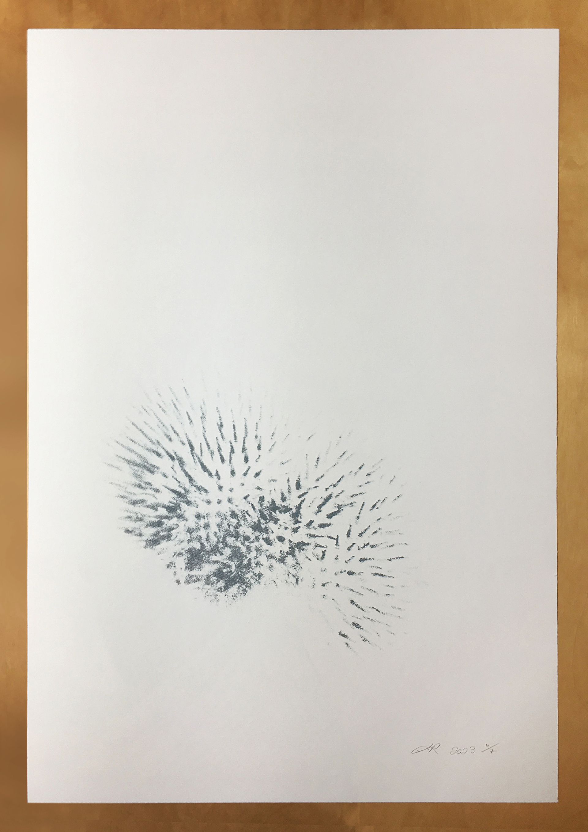 Aisling Roche screenprint