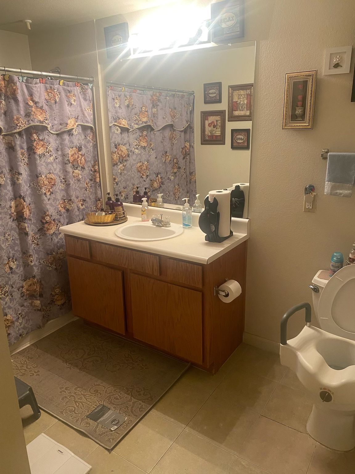 Bathroom with shower curtain, vanity with mirror, and toilet with safety bars.
