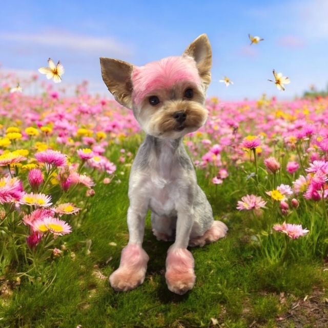 Small dog with pink ears and paws sitting in a field of pink flowers under a bright sky