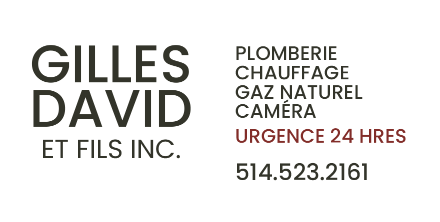 Un logo pour gilles david et fils inc. est affiché sur un fond blanc.