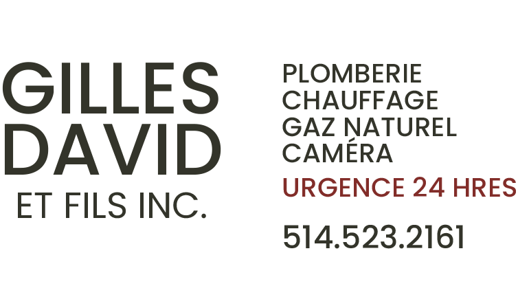 Un logo pour gilles david et fils inc.