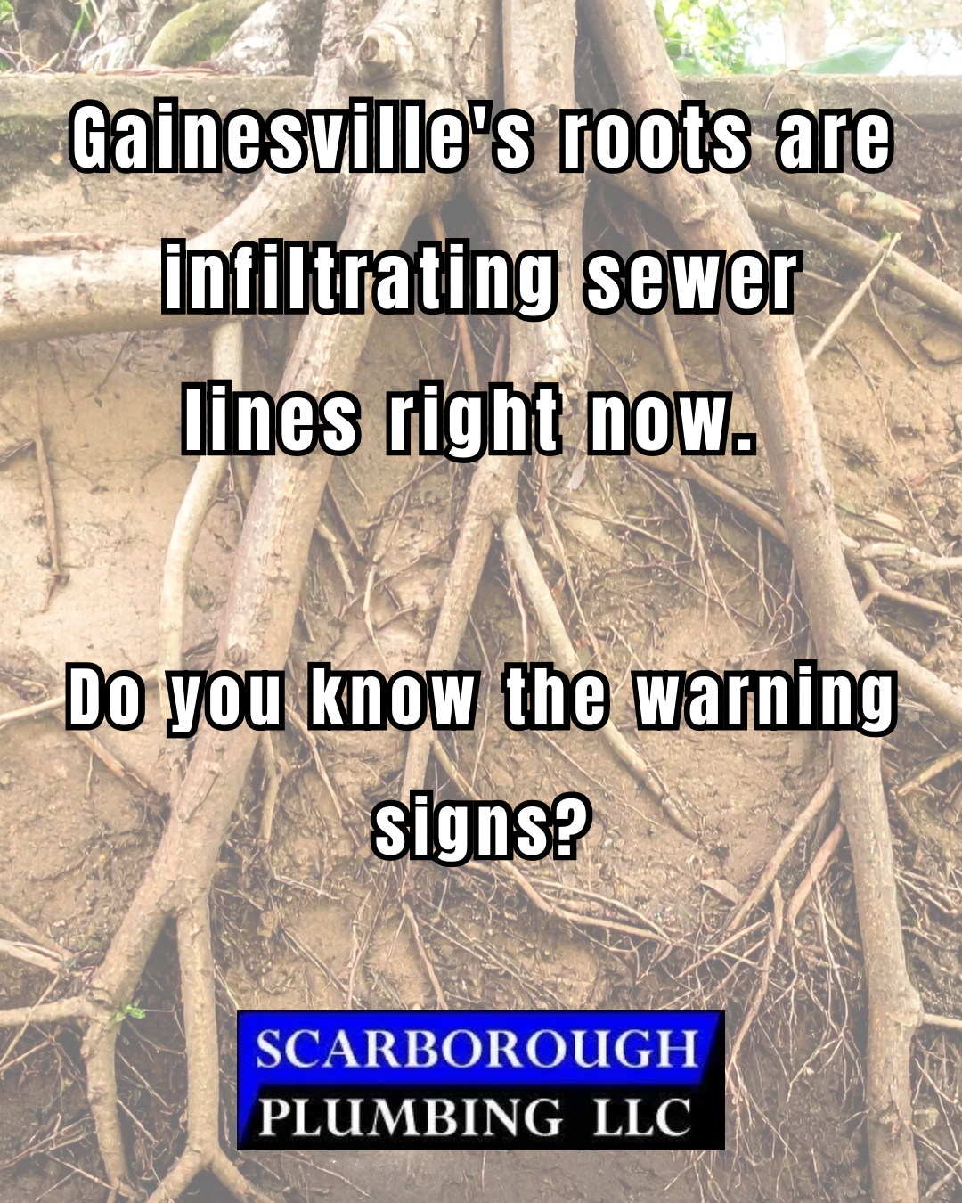Sewer line repair Gainesville FL Scarborough Plumbing camera inspection tree root replacement