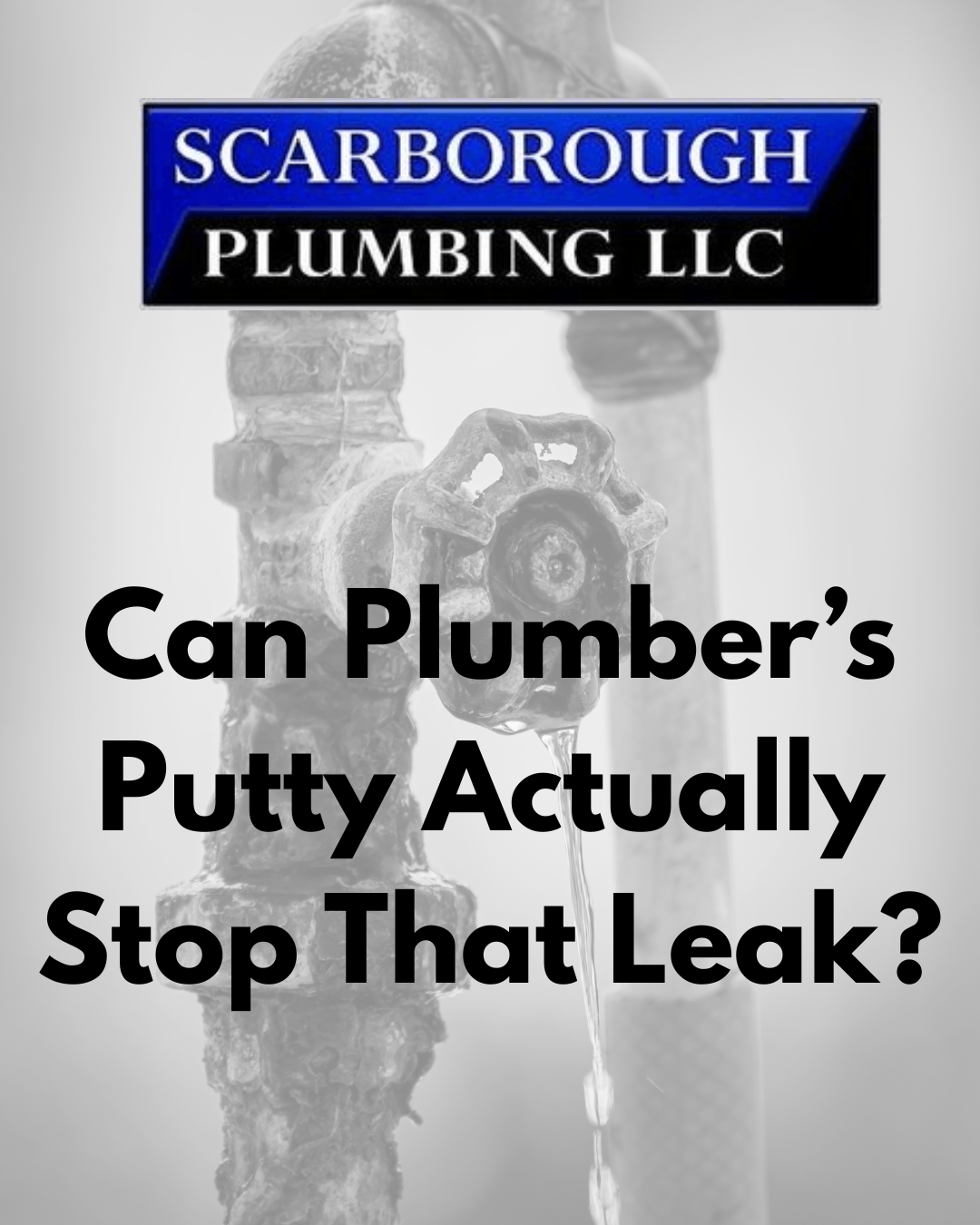 Scarborough Plumbing LLC ad asking, “Can plumber’s putty actually stop that leak?”