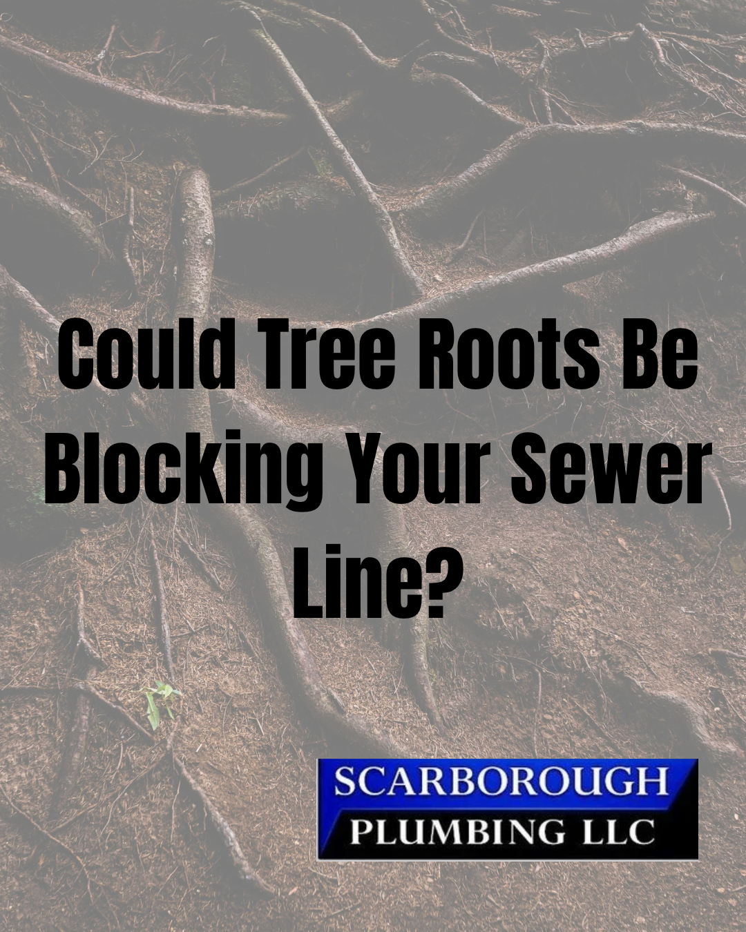 Tree roots over sewer line background with text: