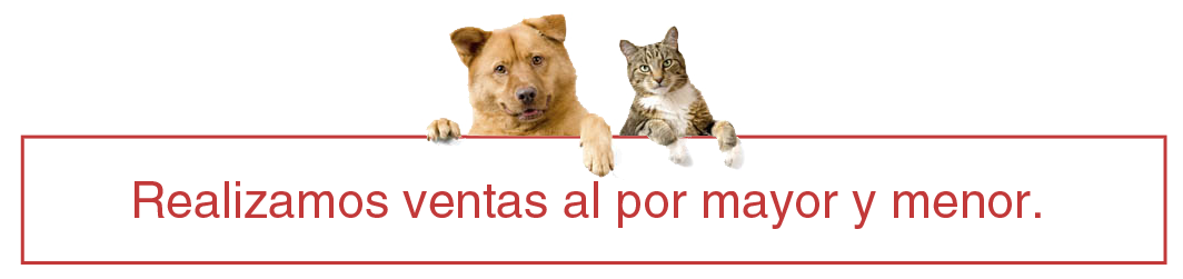Distribuidora Sosa