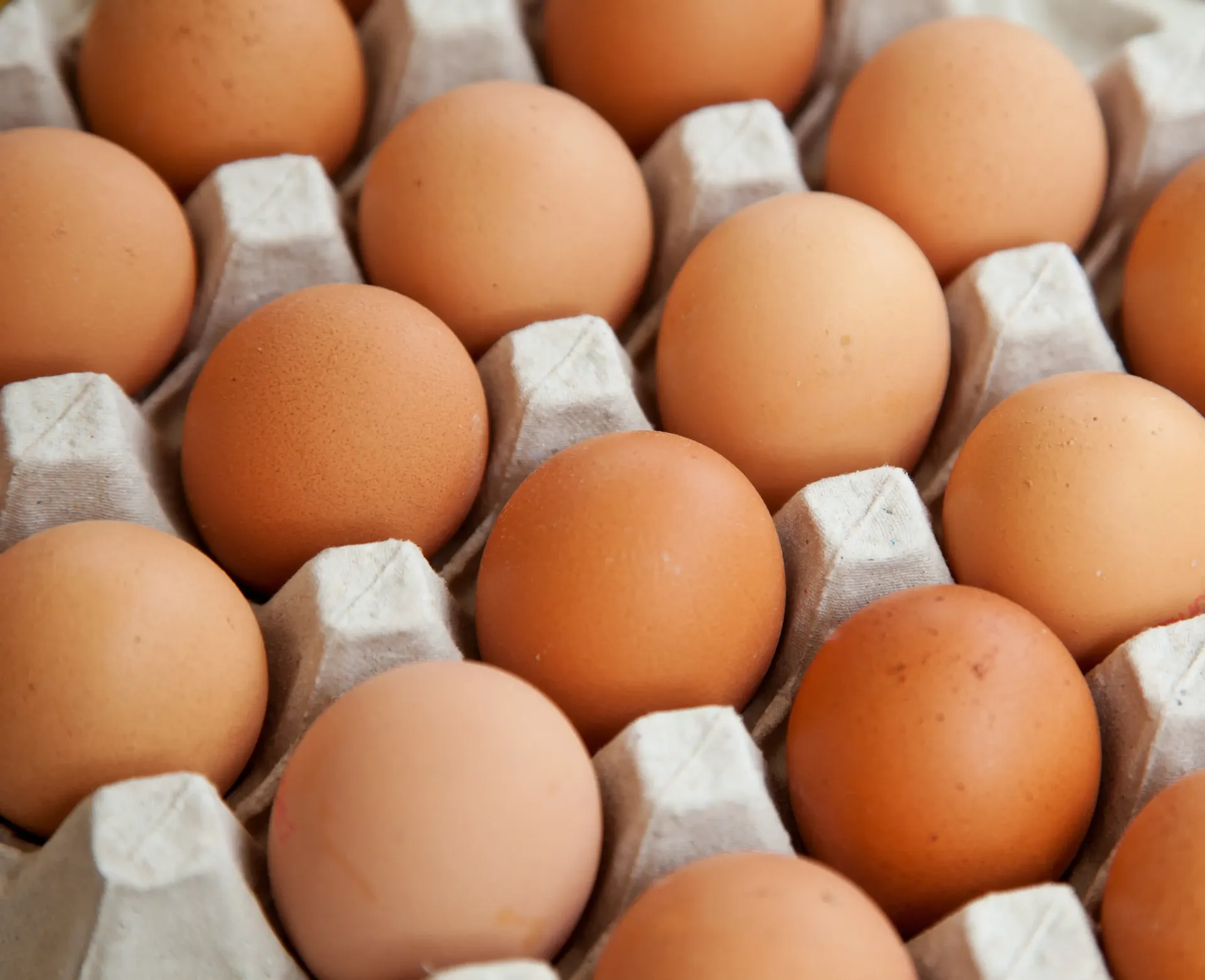 Brown eggs sitting in a gray cardboard carton.